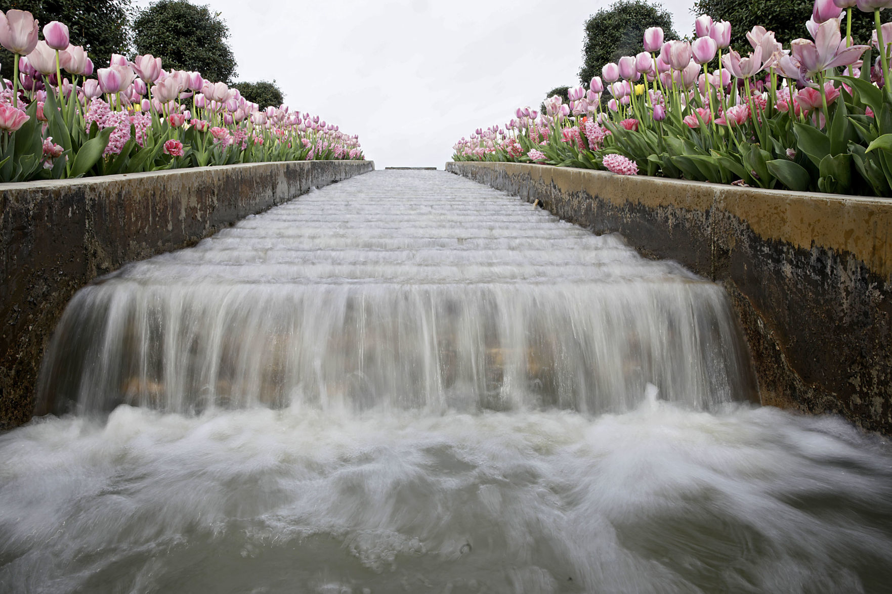 Tulsa Botanic Garden